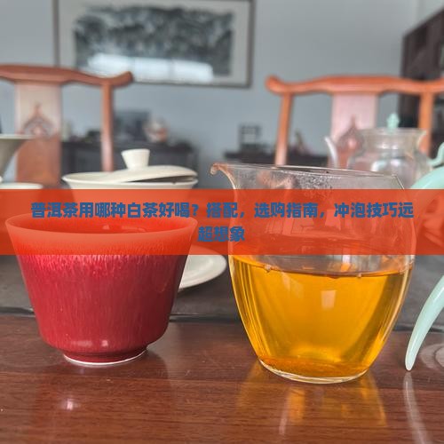 普洱茶用哪种白茶好喝