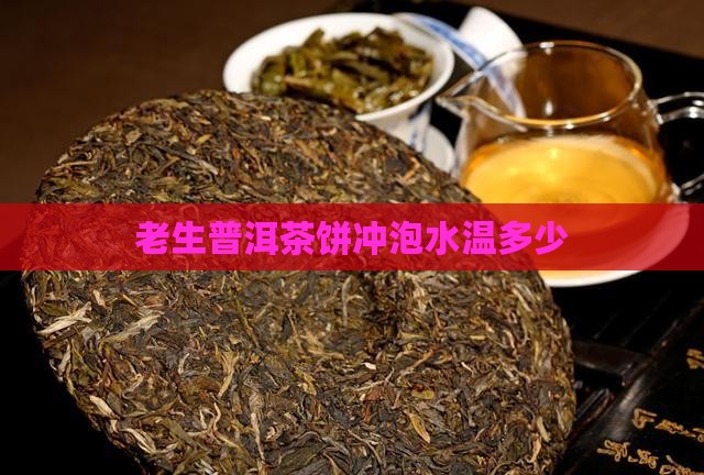 老生普洱茶饼冲泡多少度