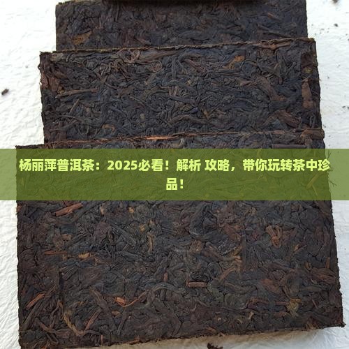 杨丽萍介绍普洱茶