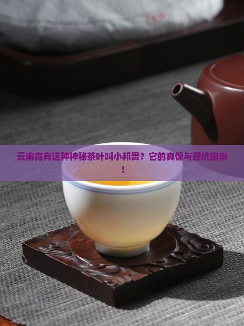 云南有一种茶叶叫小邦贵