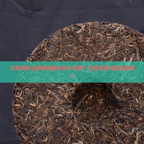 云南有一种茶叶叫小邦贵