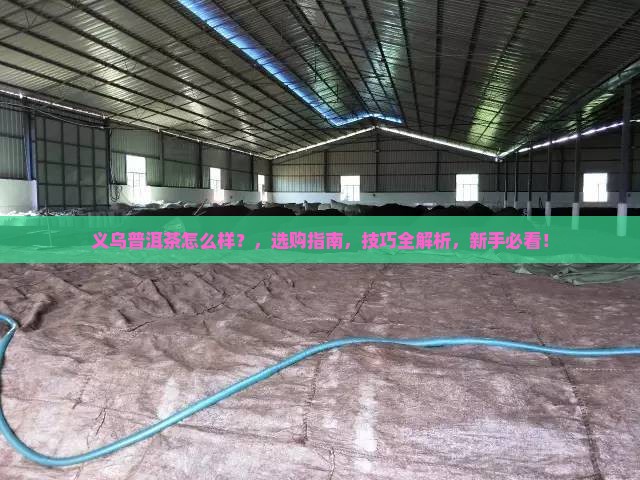 义乌普洱茶怎么样