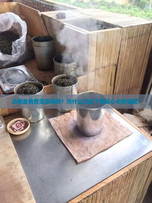 云南金典普洱茶锦绣