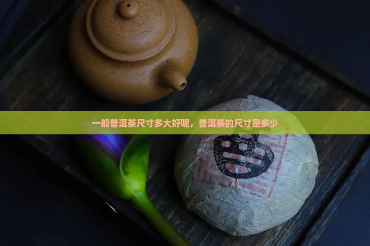一般普洱茶尺寸多大好呢