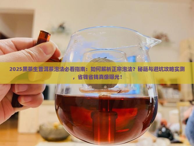 黑茶生普洱茶泡法