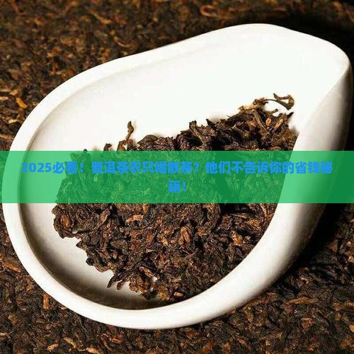 普洱茶农只喝散茶