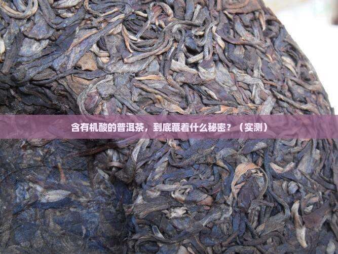 含有机酸的普洱茶