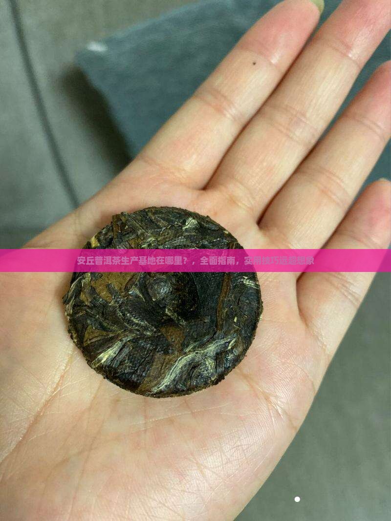 安丘普洱茶生产基地在哪里