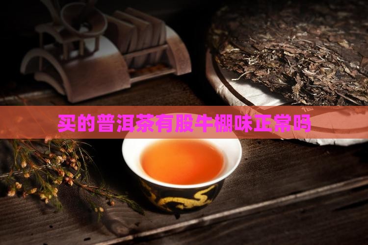 买的普洱茶有股牛棚味