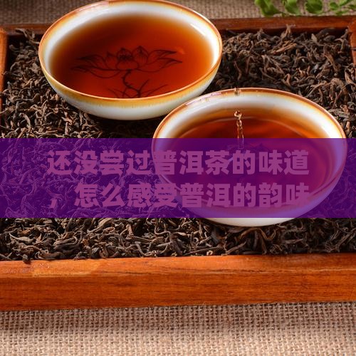 还没尝过普洱茶的味道怎么办