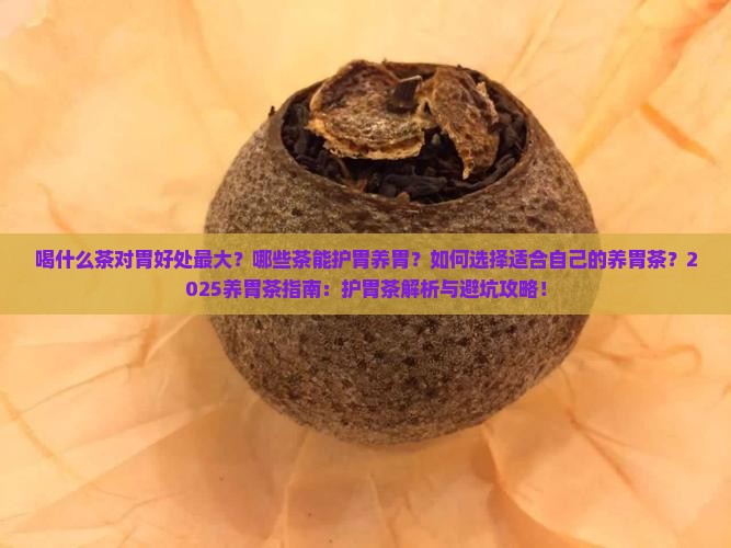 喝什么茶对胃好处最大