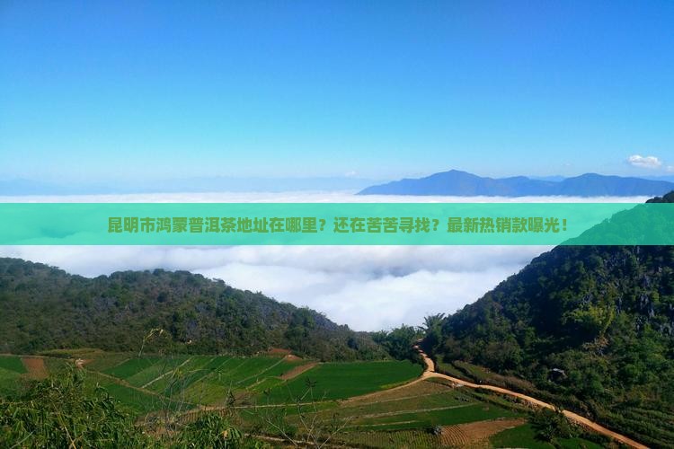 昆明市鸿蒙普洱茶地址