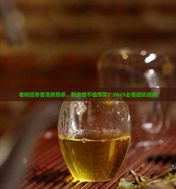 老树班章普洱茶熟茶