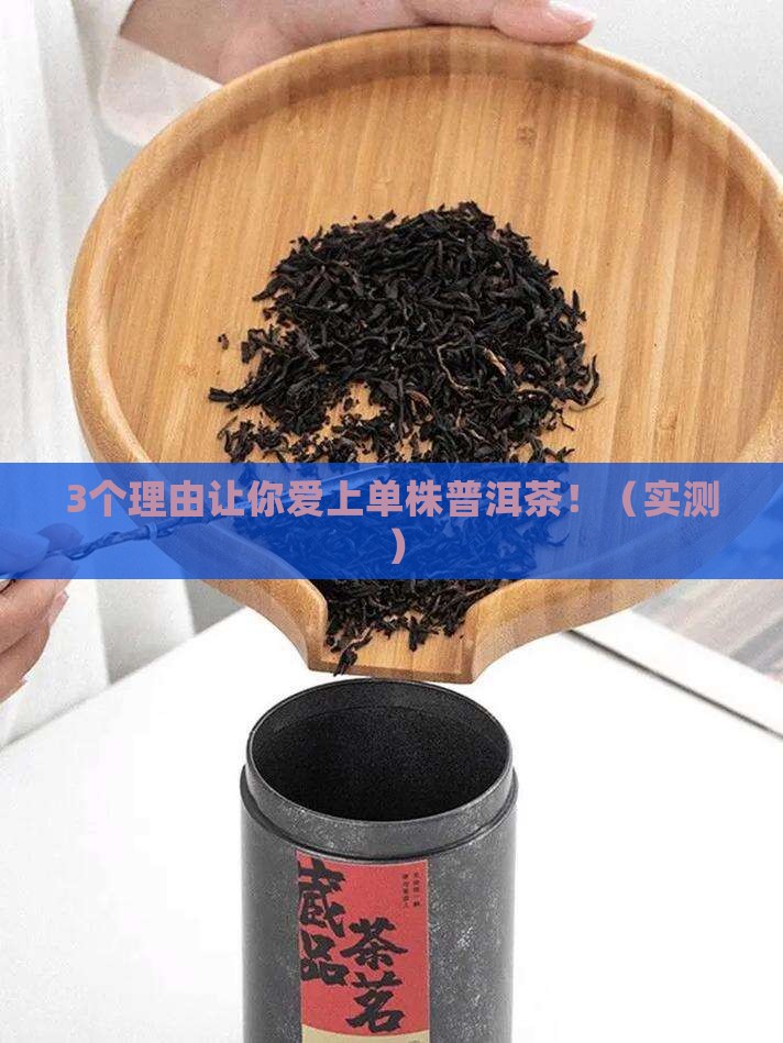 单株普洱茶介绍卡片