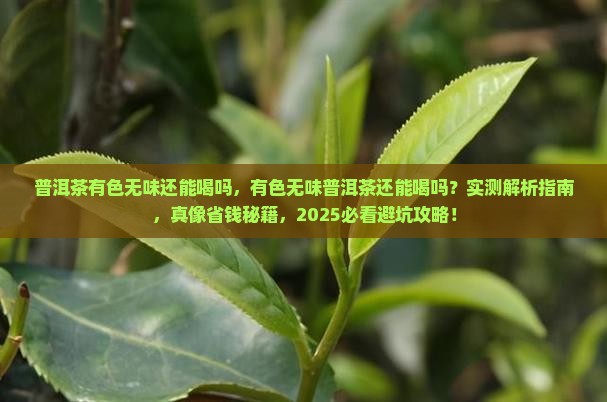 普洱茶有色无味还能喝吗