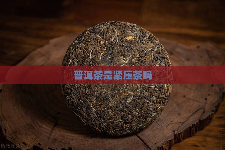 普洱茶是紧压茶吗