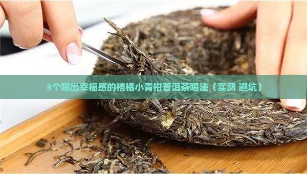 桔橘小青柑普洱茶