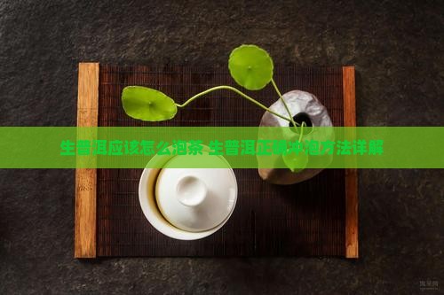 生普洱应该怎么泡茶