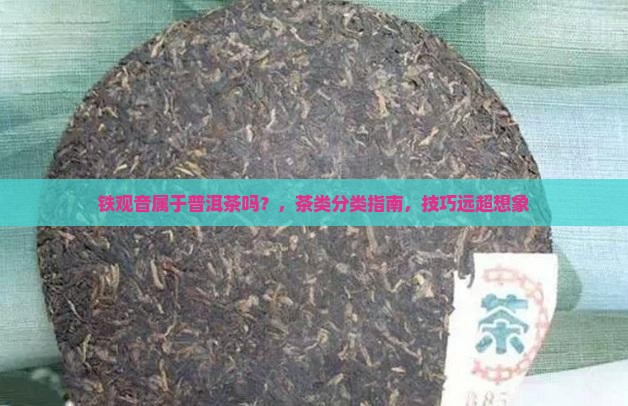 铁观音是属于普洱茶吗