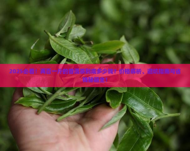 两百一斤的普洱茶多少钱