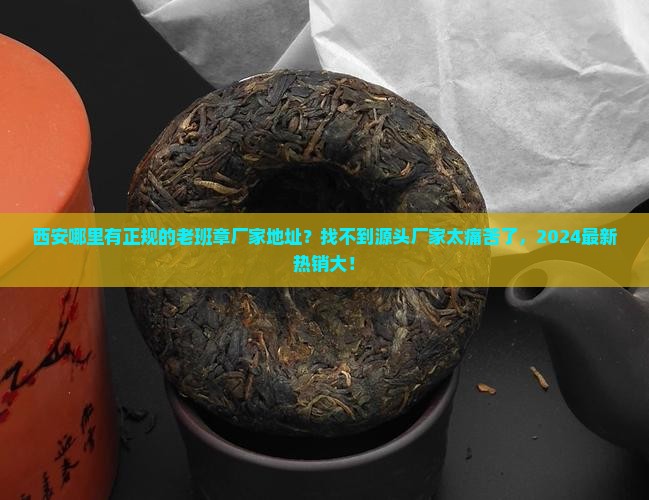 西安正规的老班章厂家地址