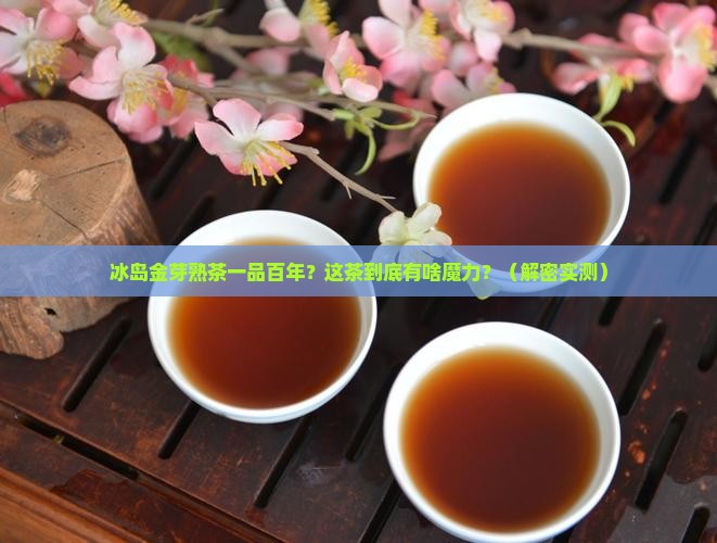 冰岛金芽熟茶一品百年