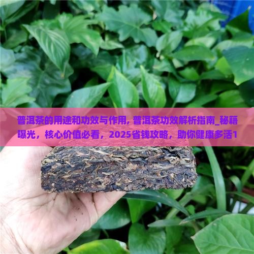 普洱茶的用途和功效与作用