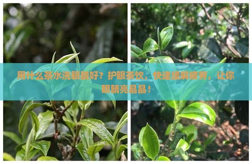 用什么茶水洗眼睛好