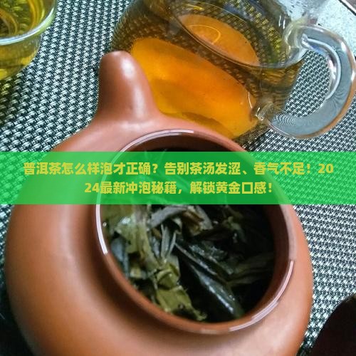 普洱茶怎么样泡才正确