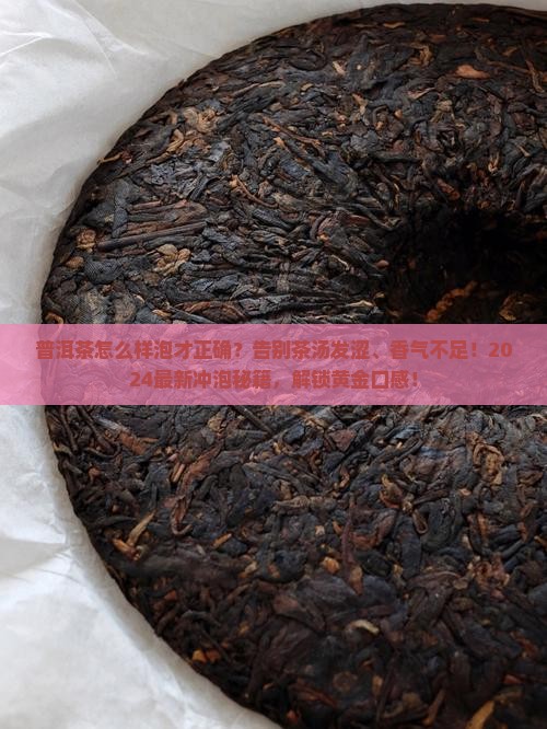 普洱茶怎么样泡才正确