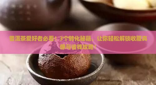 普洱茶的转化之美有哪些