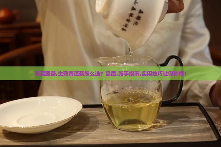 购买藏茶生熟普洱茶