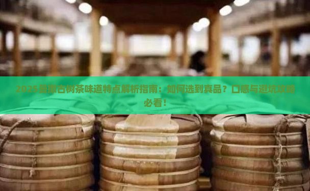 曼撒古树茶特点味道