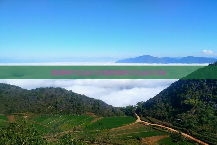 普洱茶有几大山头几大寨