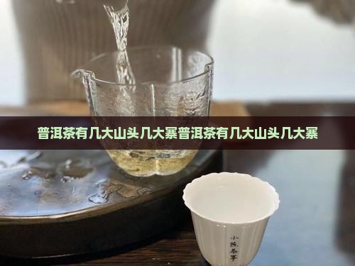 普洱茶有几大山头几大寨
