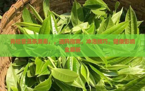 青桔普洱茶激素