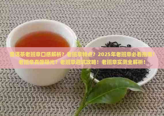 普洱茶老班章的口感和特点描述