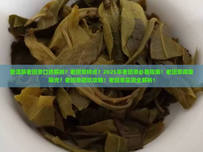普洱茶老班章的口感和特点描述