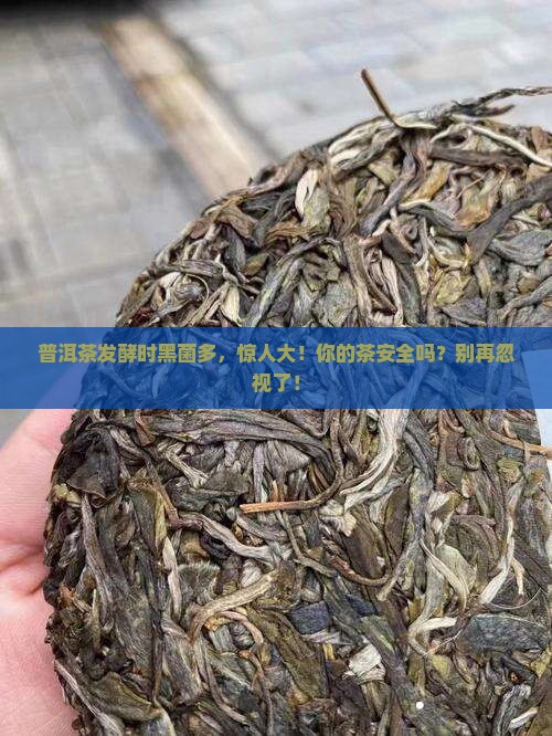 普洱茶发酵时黑菌多