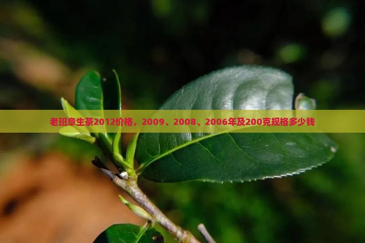 老班章生茶2012