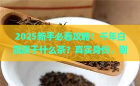 千年白露属于什么茶