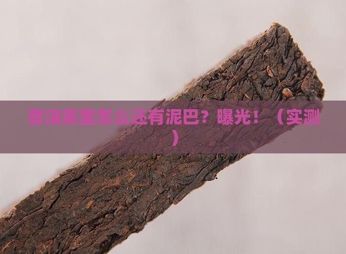 普洱茶里的泥巴是什么做的