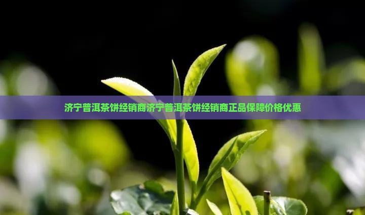济宁普洱茶饼经销商