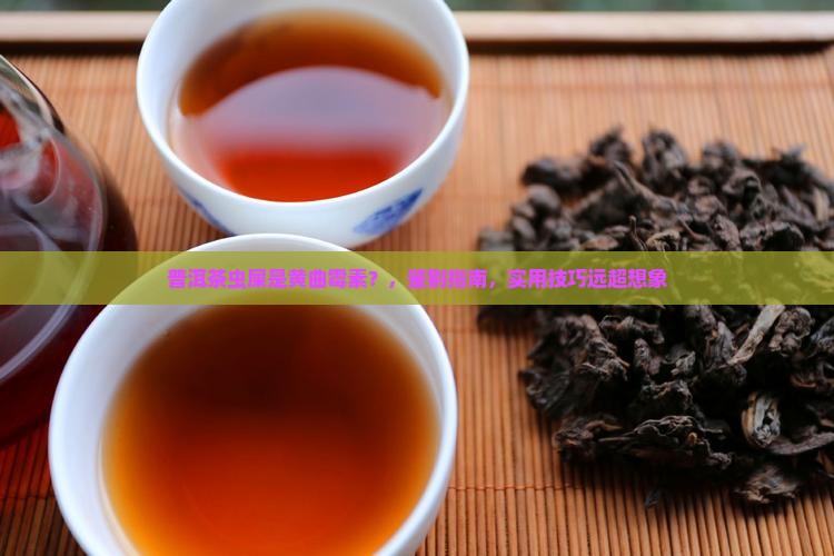 普洱茶虫屎是黄曲霉素