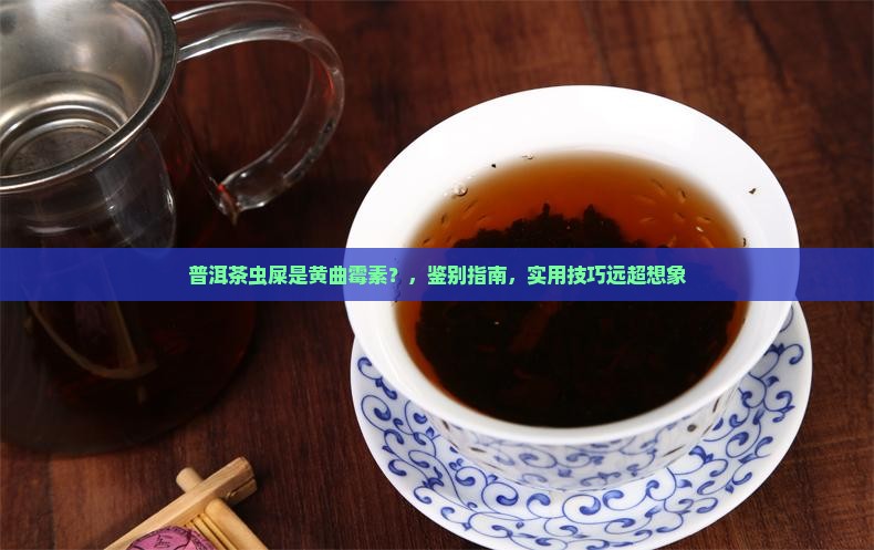 普洱茶虫屎是黄曲霉素