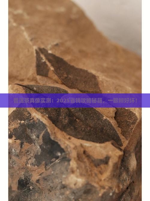 普洱茶如何辨别品种好坏