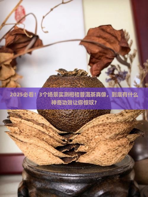 柑桔普洱茶的功效与作用