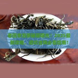 老班章泡茶的做法大全