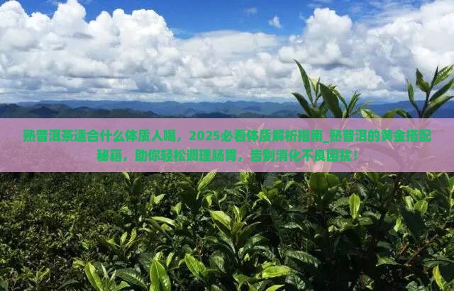熟普洱茶适合什么体质人喝