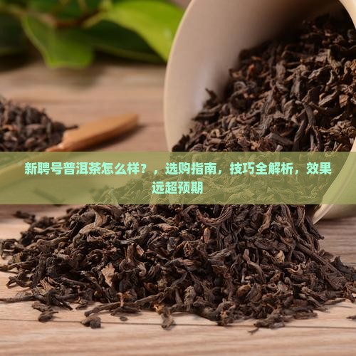 新聘号普洱茶怎么样